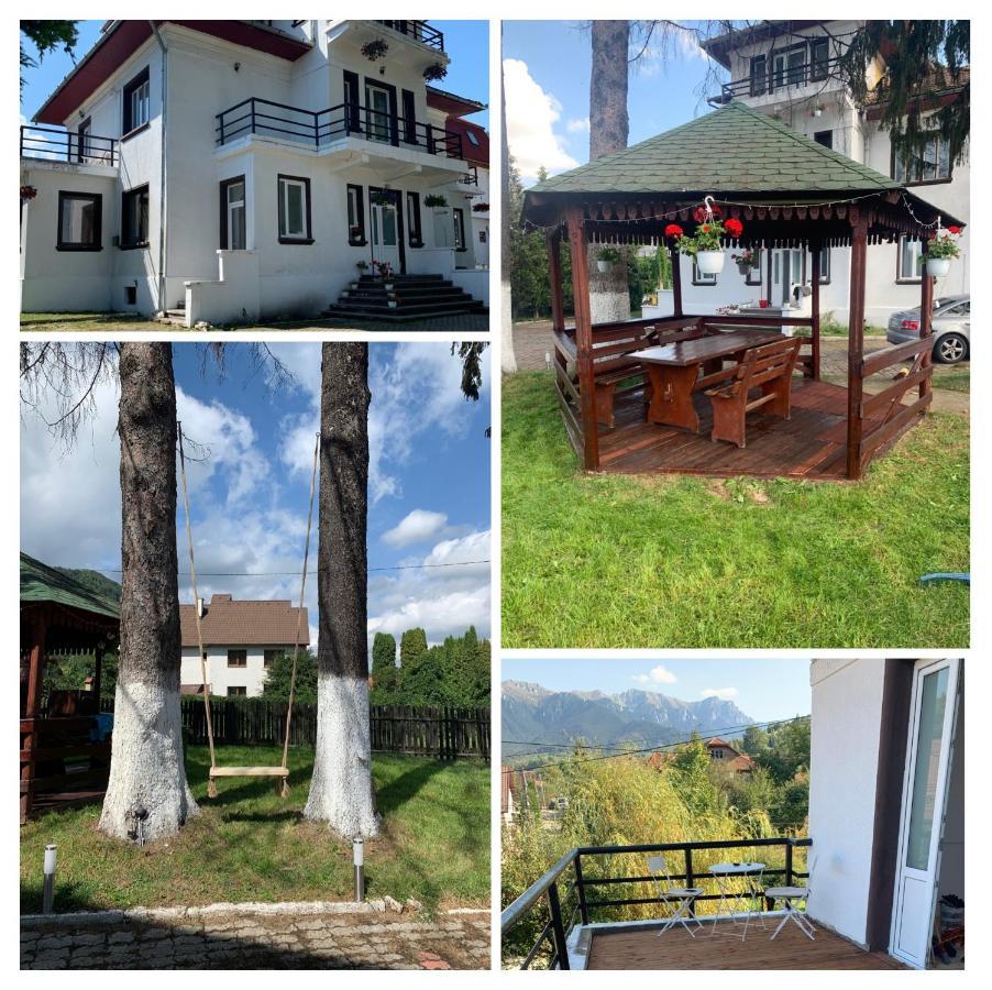 Vila Codreanu Bran (Brasov) Exterior foto