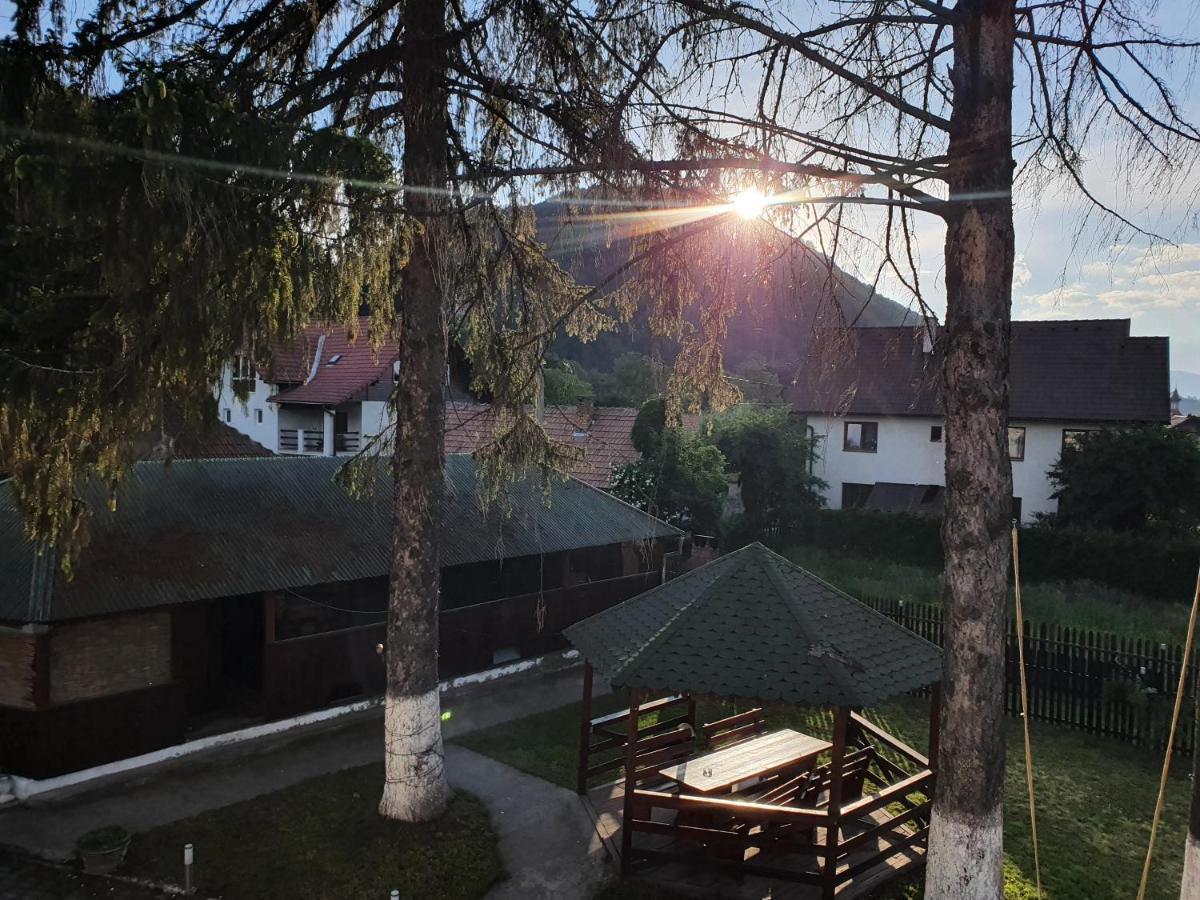 Vila Codreanu Bran (Brasov) Exterior foto